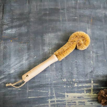 Coconut Bottle Brush for wholesale by Plantish