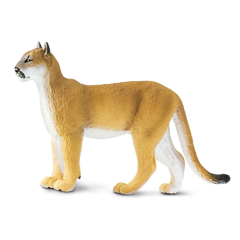 Safari Ltd. - Wholesale Figurine Toy - Kids - Florida Panther - 1001051