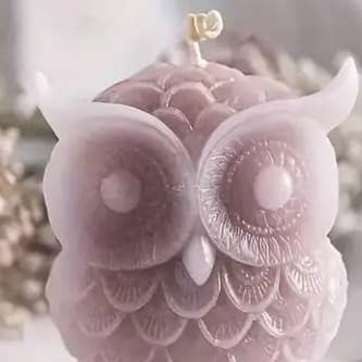 Ensemble de 4 bougies Hooting Delight pour la vente par Scent Fushion Candles