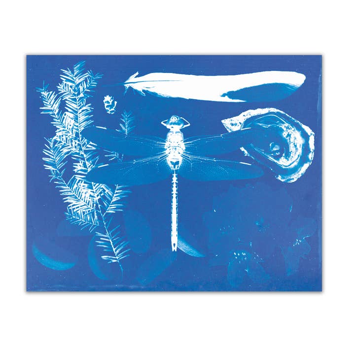 Lámina de cianotipo WA (8x10) para venta al por mayor de Tender Loving Empire