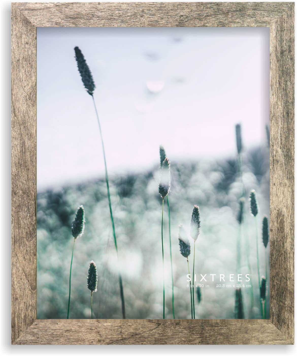 Sixtrees - Wholesale Picture Frame - Lawrence Wood Picture Frame - 4X6, 5X7, 8X10 - Multiple Colors8