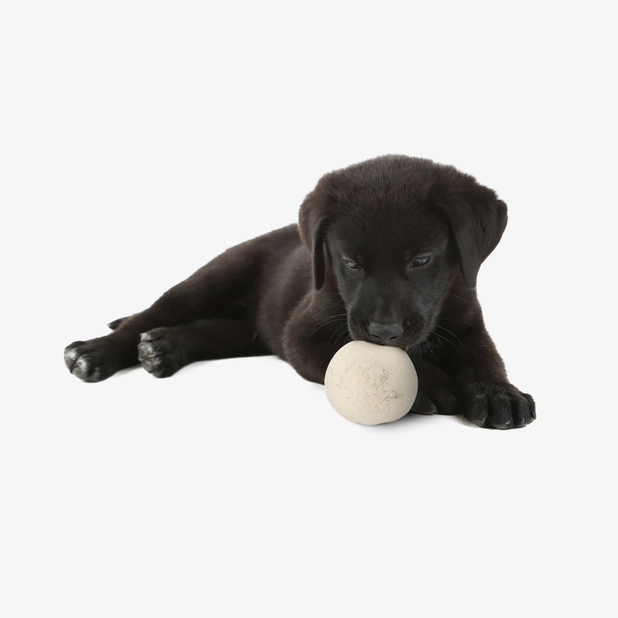 Moss Creek Wool Works | Wool Dryer Balls - Wholesale Pet Fetch Ball - Dog - "Woolf" Wool Ball for Dogs | Set of 2 | Natural Fetch Toy