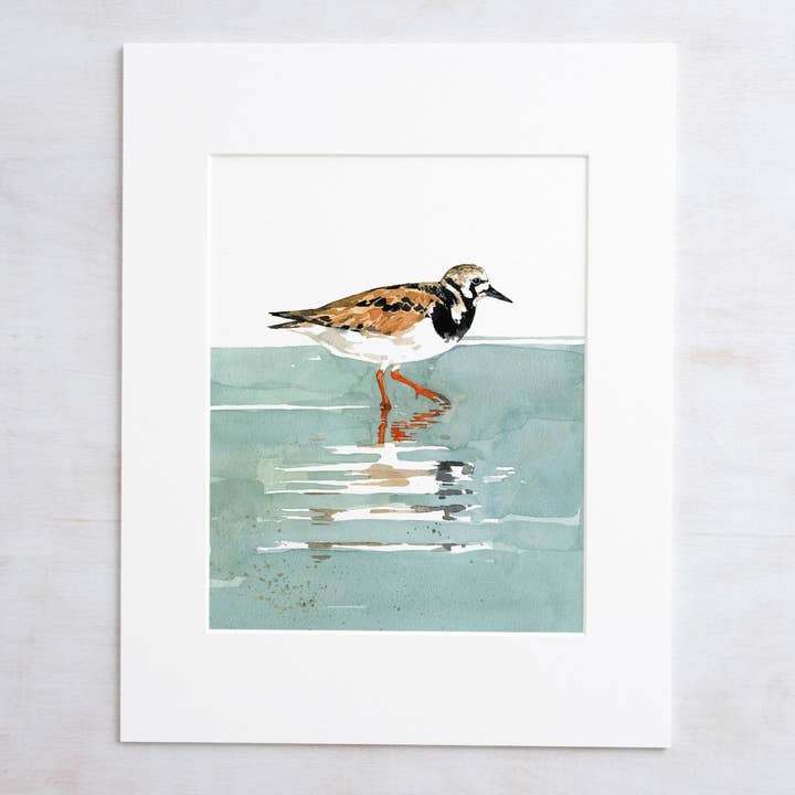 Ruddy Turnstone Shorebird konsttryck för wholesale av Studio Tuesday