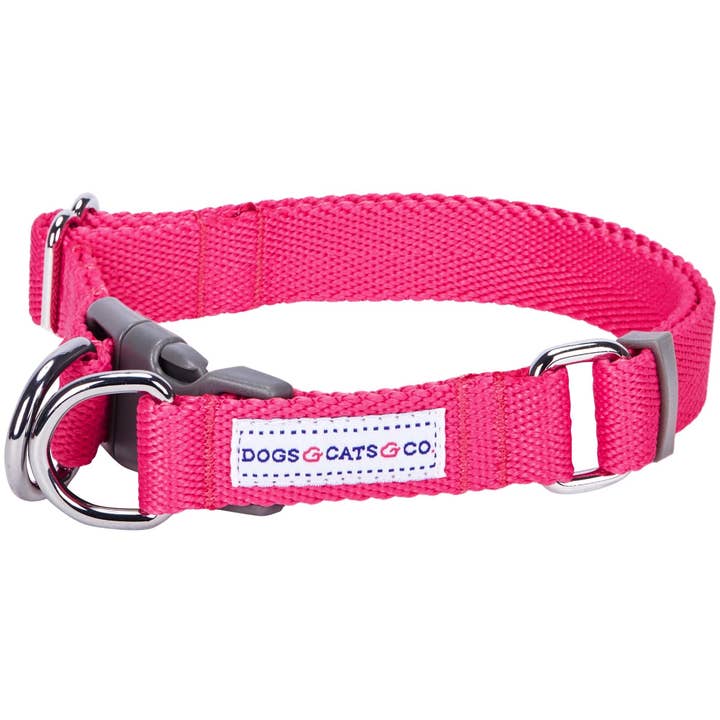 Blueberry Pet - Wholesale Pet collar – Dog - Best-Seller Double D-Ring Dog Collar -Must-Have for All Dogs91