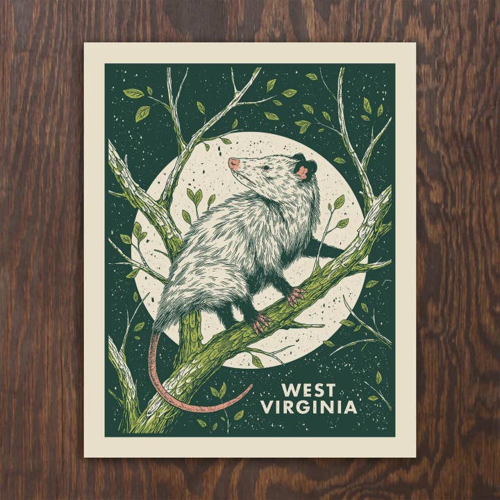West Virginia Opossum for wholesale by Logan Schmitt Illustration