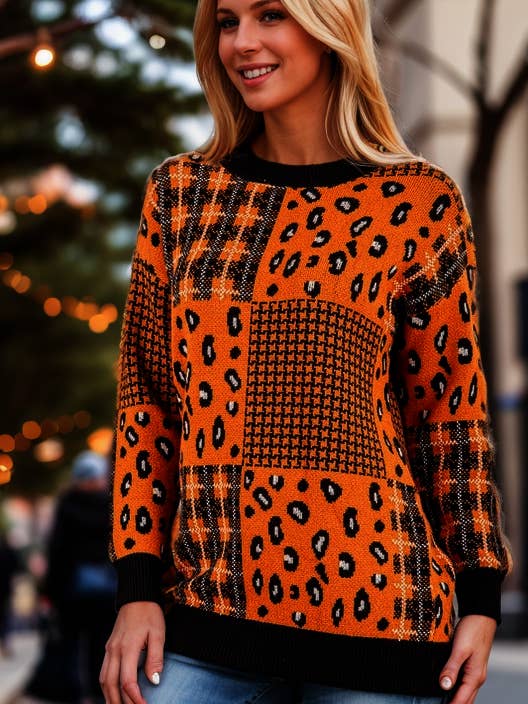 MAGLIONE A MANICHE LUNGHE CON SCOLLO ROTONDO E STAMPA MULTICOLORE GINGER HMWT1022L per la vendita all'ingrosso da parte di Stylish Wholesale