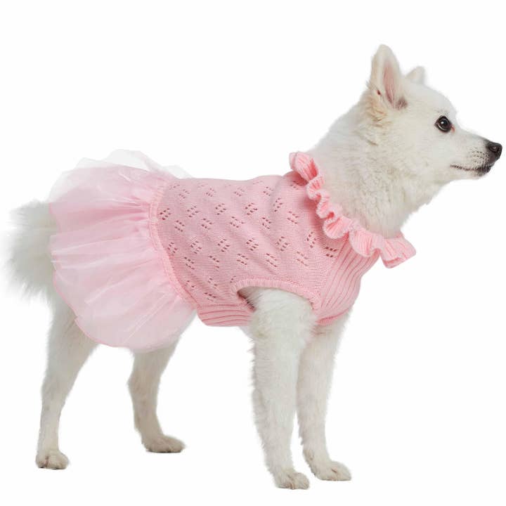 Blueberry Pet - Wholesale Pet Sweater - Dog - My Cutie Princess Ruffle Collar Dog Sweater Dress16