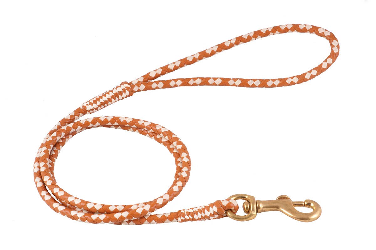 Alvalley - Wholesale Pet Leash - Dog - Braided Leather Snap Leads113