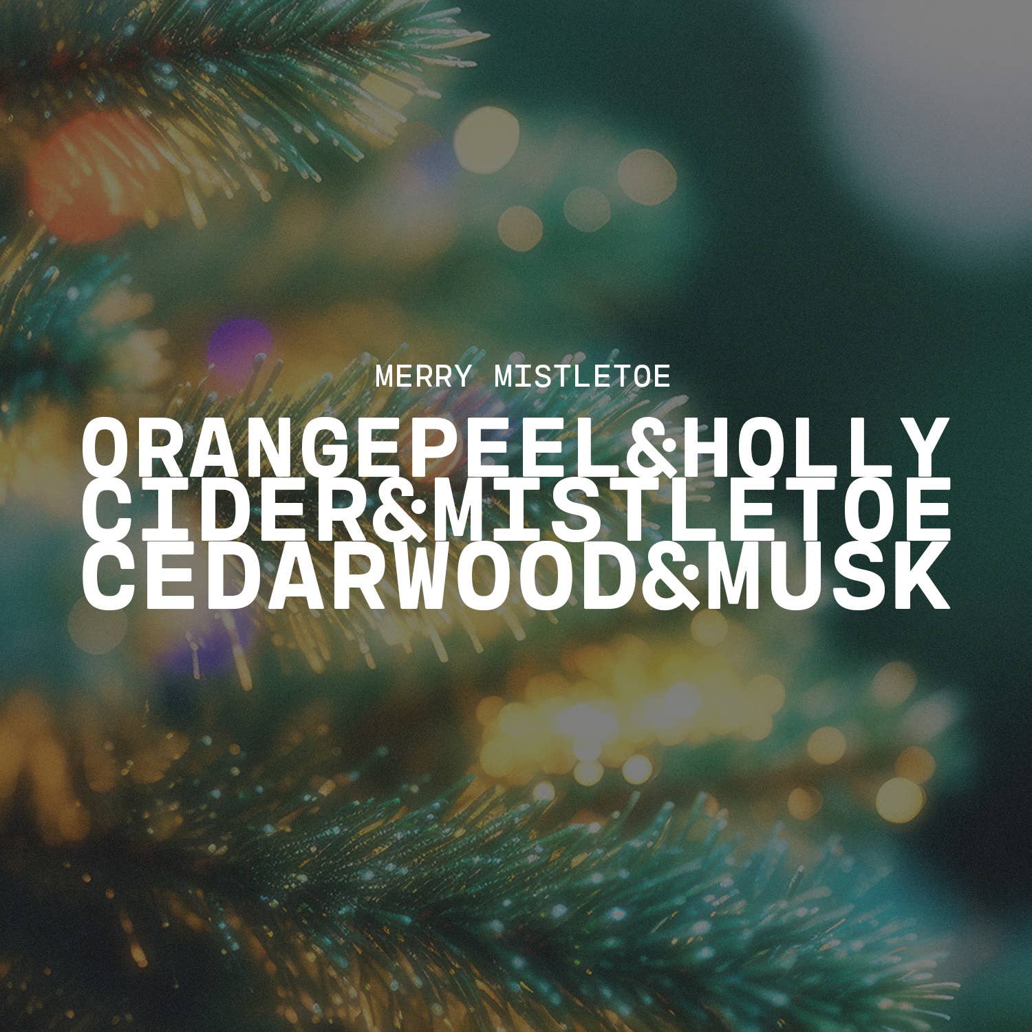 Milkhouse Candle Company - Wholesale Wax Melt - 5.5 oz Wax Melts: Merry Mistletoe2