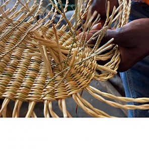 Jungle Direct - Wholesale Wall Accent - Elephant Grass Fan9