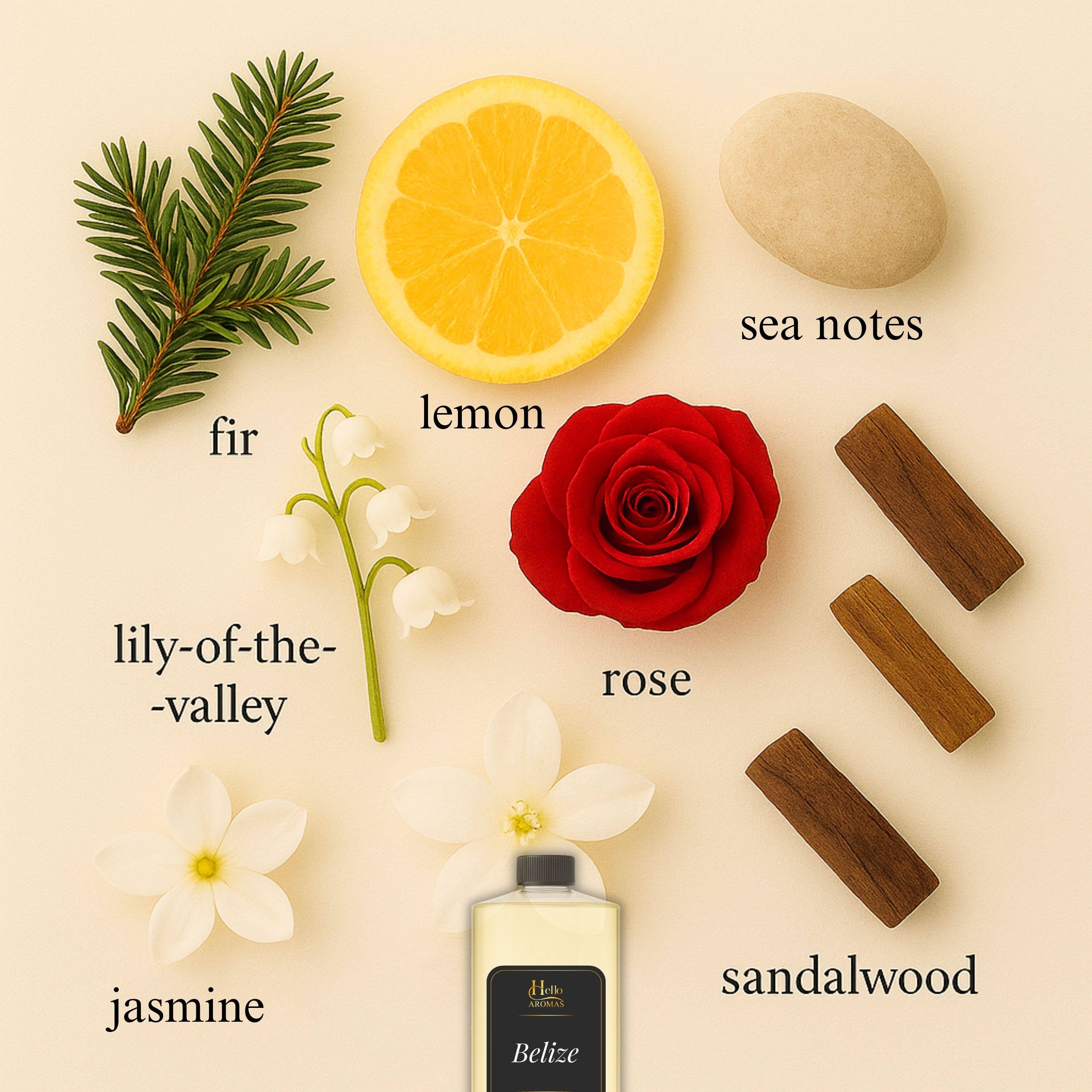 Hello Aromas - Vente Huile parfumée - Belize Inspiré par A&F Fierce Flacon de 100ML2