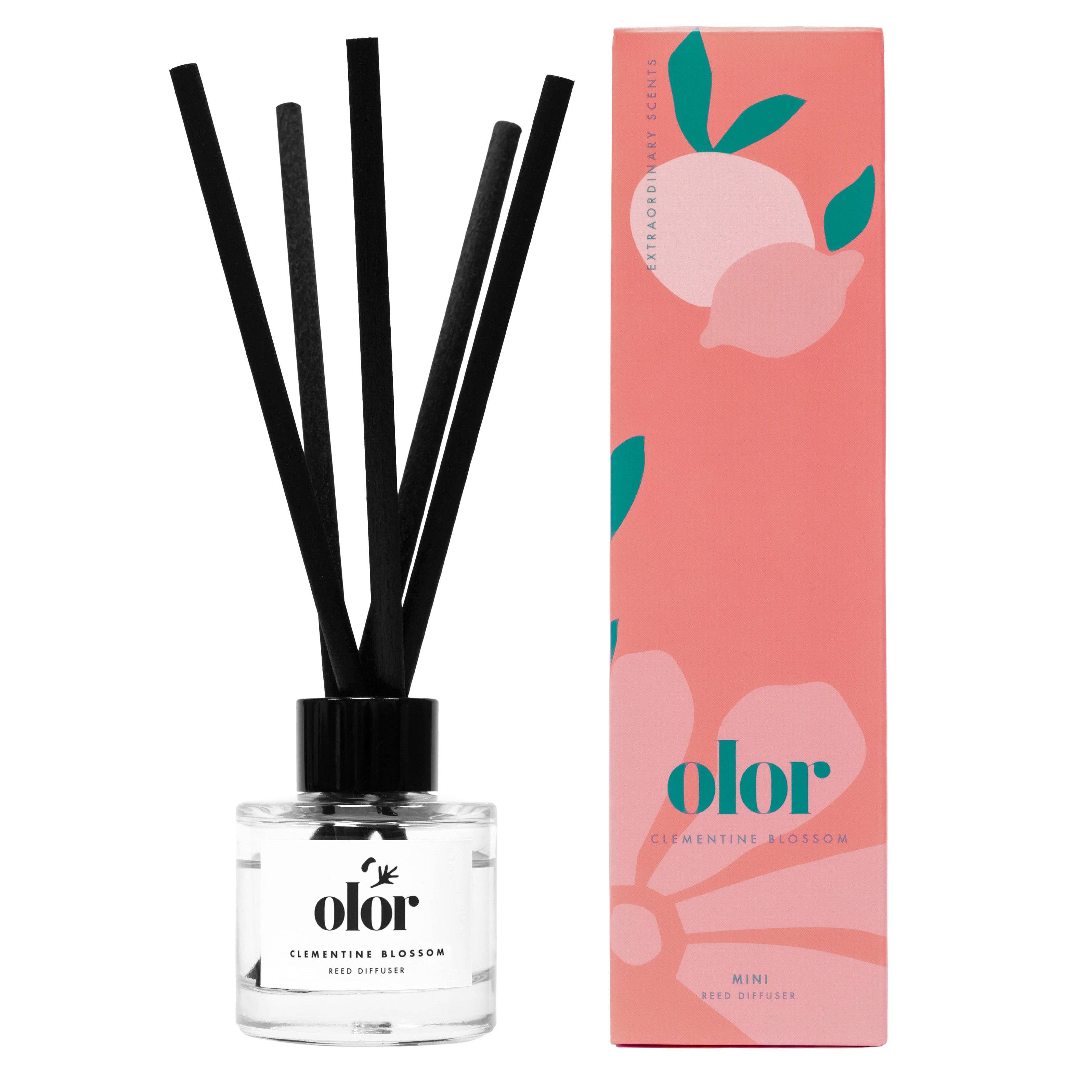 OLOR – Großhandel Reed-Diffusor – Clementine Blossom Mini-Raumduft-Diffuser2