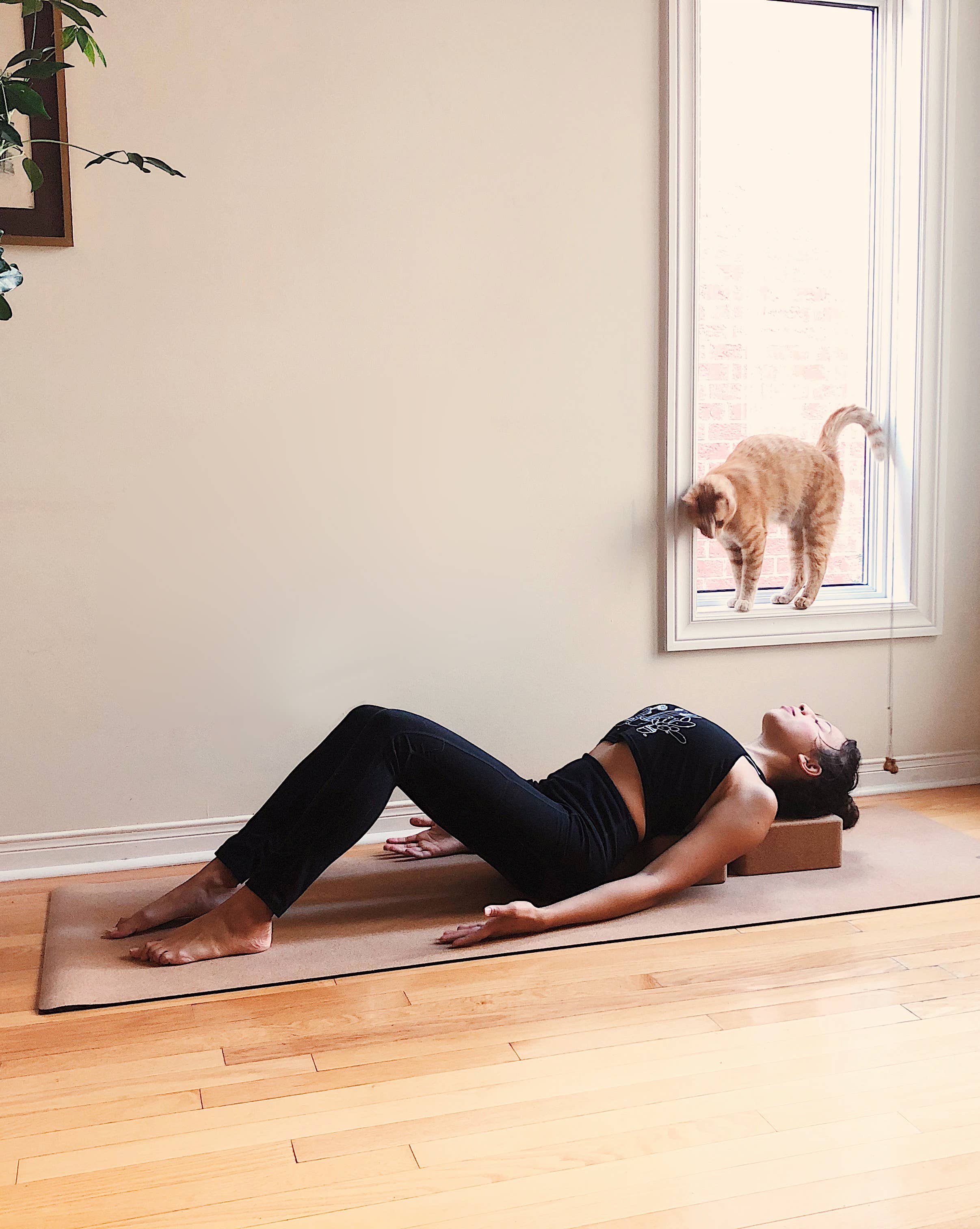 Scoria World Inc. - Wholesale Yoga-blok - Originele kurkbaksteen van Scoria (100% natuurlijk kurk yogablok4