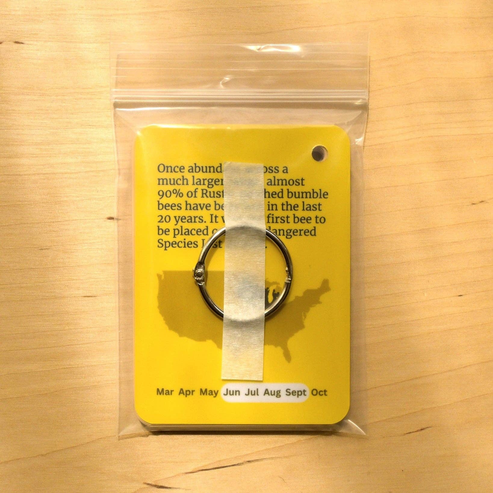 weneedtogooutside - Wholesale Nature & Outdoors Book - Bumble Bees of Eastern USA Field Guide Cards3