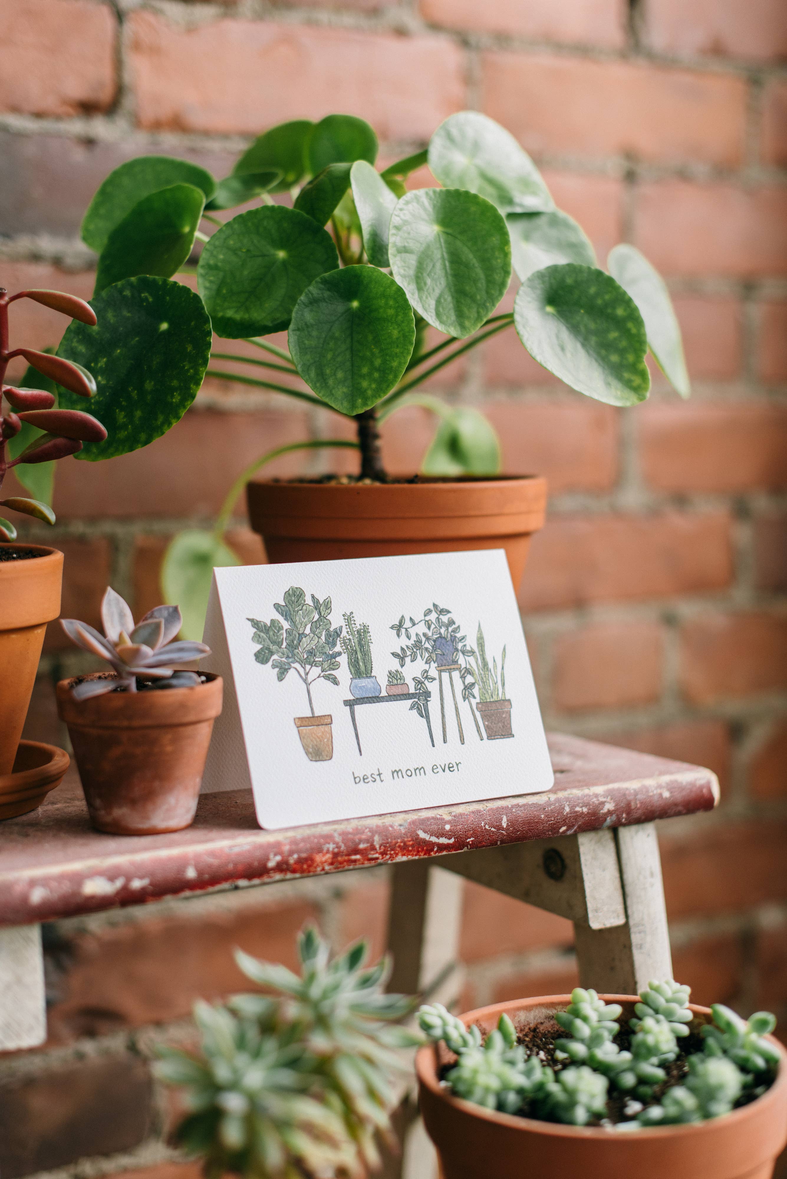 Gotamago - Wholesale Mother's Day Card - Plant Mom Card1