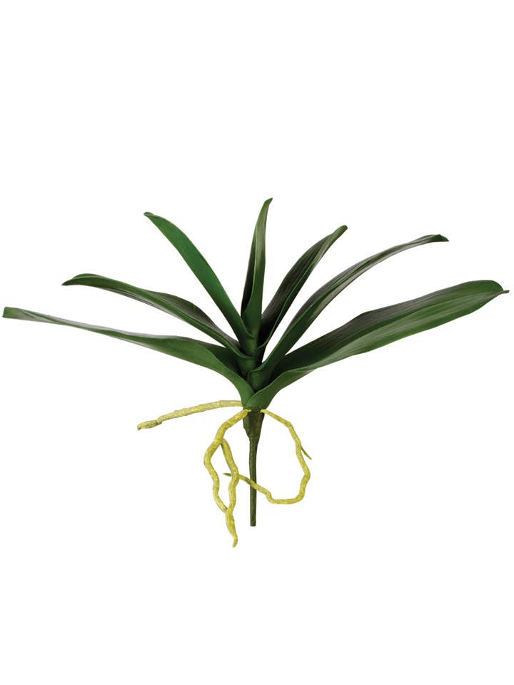 American Best - Wholesale Artificial Flowers - 13.5" PHALAENOPSIS LVS x7