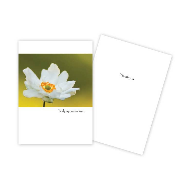 Floral takkekort for engroshandel hos Sun Day Greetings