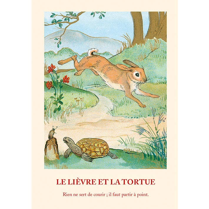 LUDOM EDITION - Venta al por mayor Cuadernos - Pequeño Cuaderno - Fábula la Liebre y la Tortuga