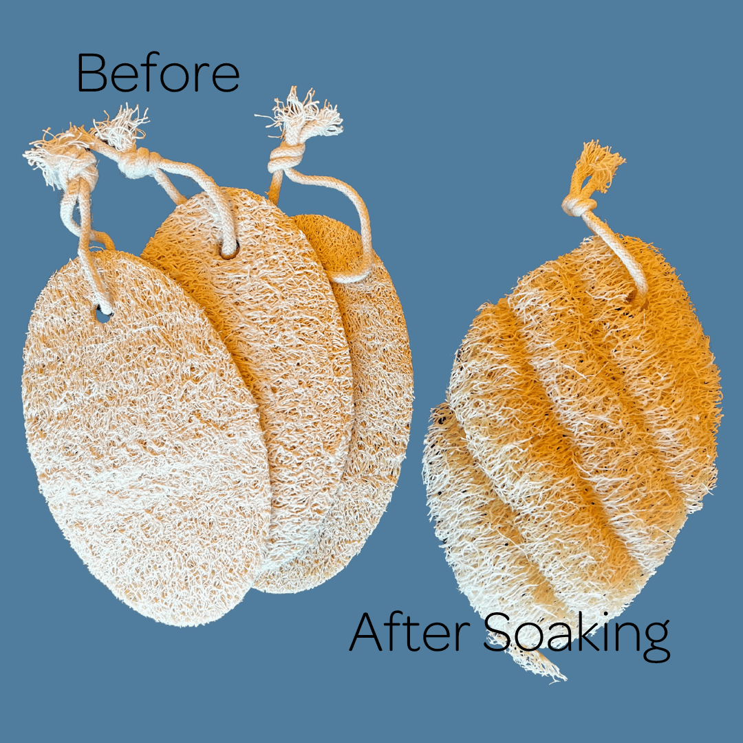 skinsolace - Wholesale Loofah - Natural Loofah Exfoliating Body Sponge1