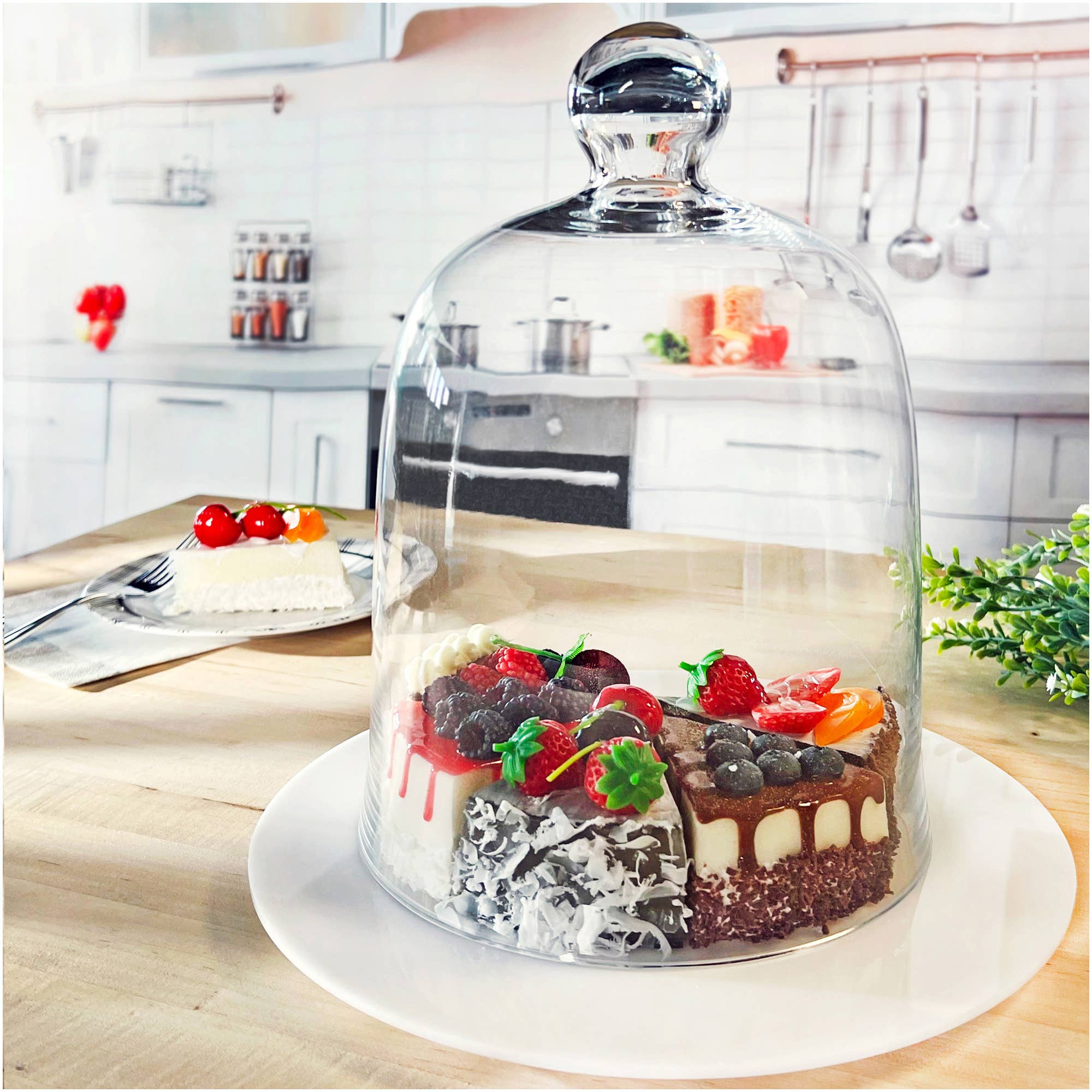 Bard's - Wholesale Tafelbladdecoratie - Bard's koepelvormige cloche met klokpot van 8,5 x 11" met glazen display3