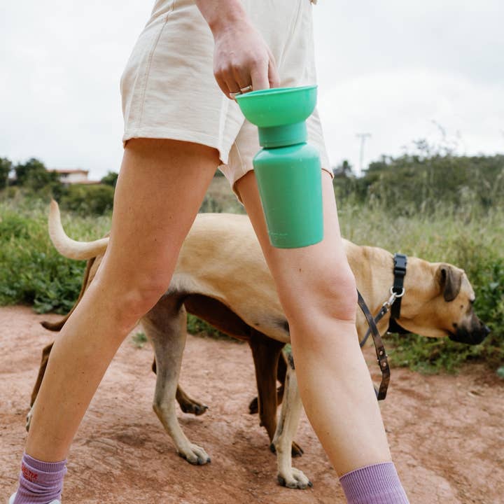 Springer Pets – Großhandel Haustiertrinkflasche – Hund – Reisetrinkflasche für Hunde, 20 Unzen, Flip Silicone (gemischt, 12er-Pack)