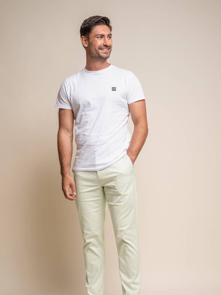 Chino trousers men Sage - Cavani Dakota for wholesale by CASTLESON