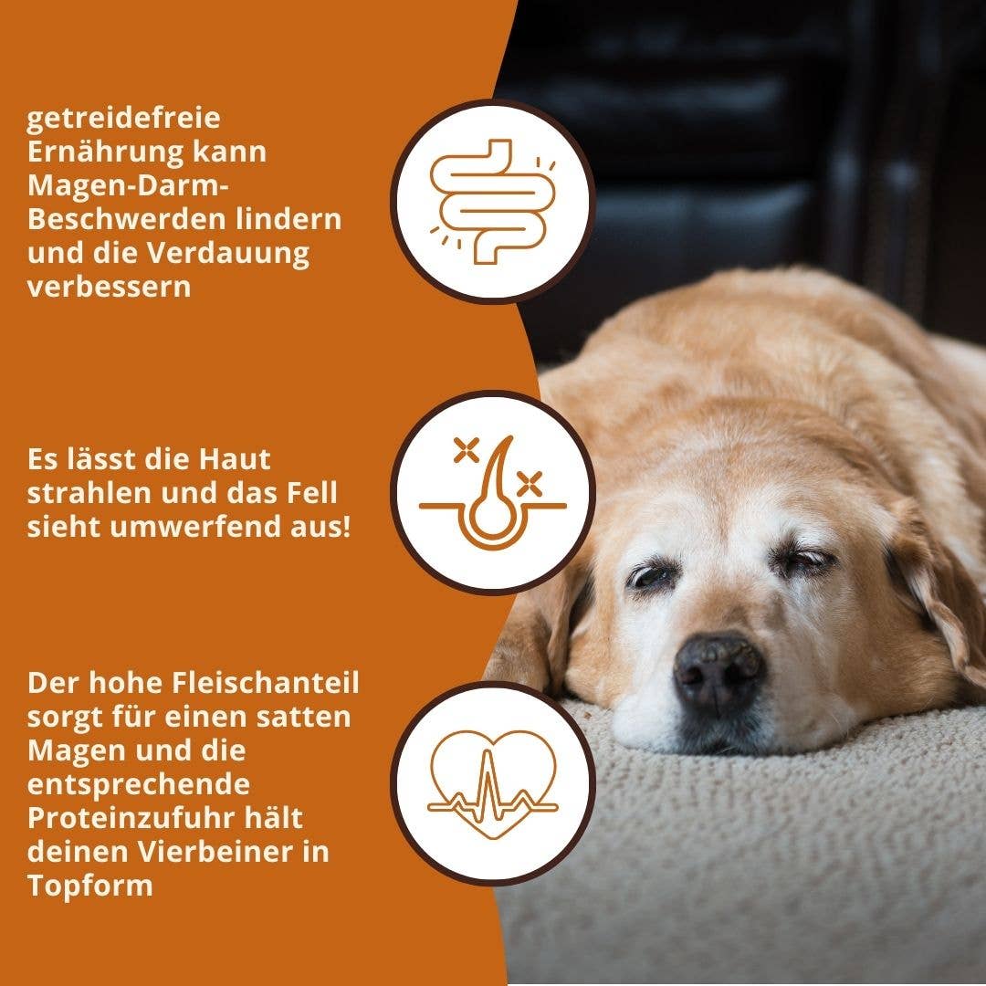 WILDFANG – wholesale Pet food – Dog – Dry food economy pack 2 x 2 kg with turkey - grain-free6