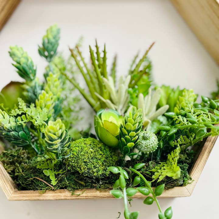 Angel Isabella - Wholesale Live Plant - 10oz or 1lb Bulk Pack-Naturally Preserved Green Moss7