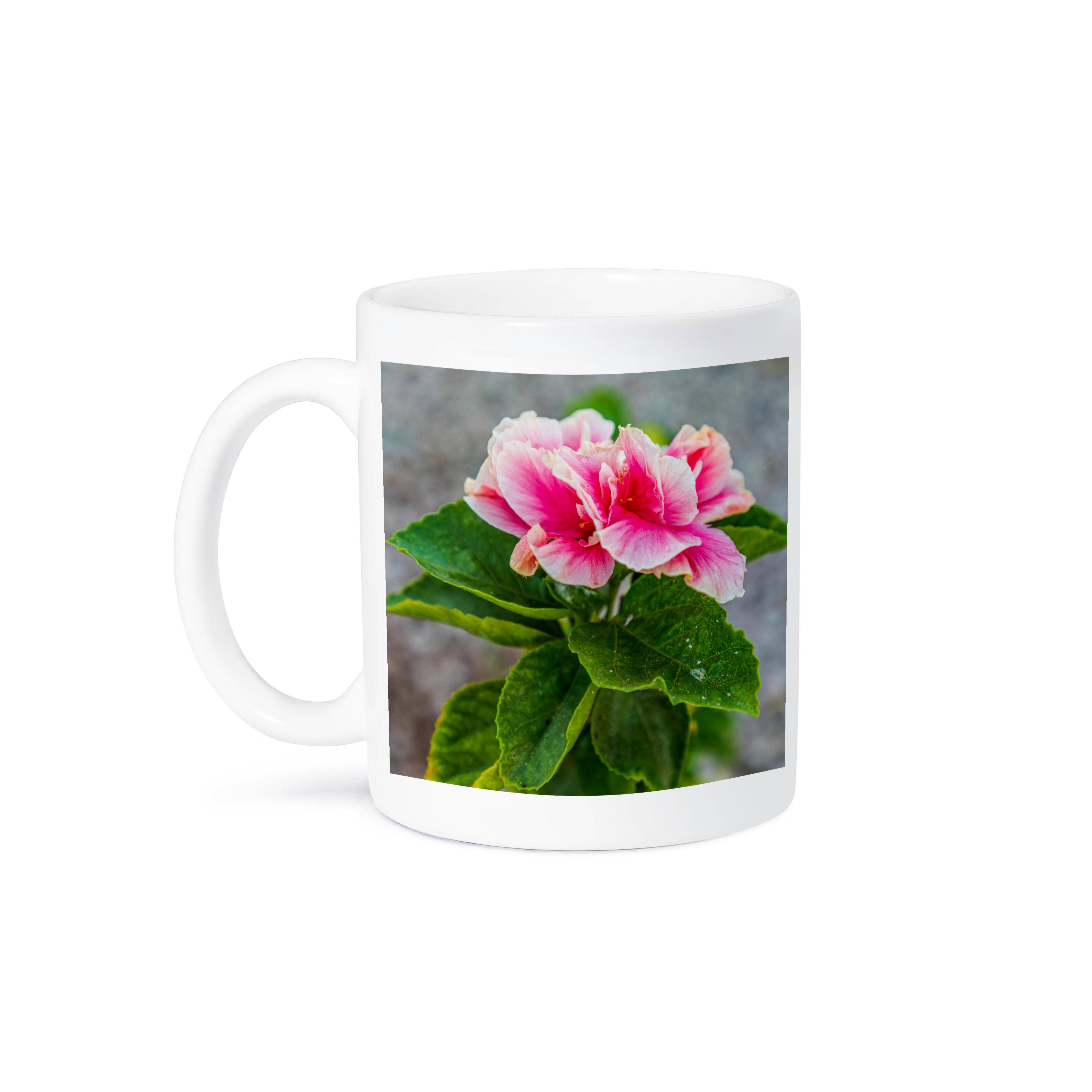 3dRose - Wholesale Coffee Mug - 3dRose, Loreto, Baja California Sur, Mexico. A pink flower along the street., Mug8