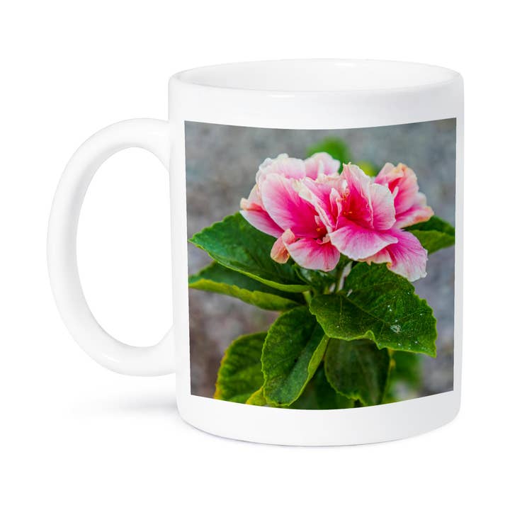 3dRose - Wholesale Coffee Mug - 3dRose, Loreto, Baja California Sur, Mexico. A pink flower along the street., Mug8