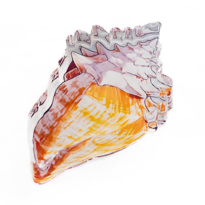 Acrylic Napkin Weight - Shell for wholesale by Maven Home