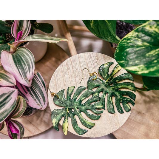Thai Constellation Monstera Plant: Jewelry, Accessories, Pin for wholesale by hethr