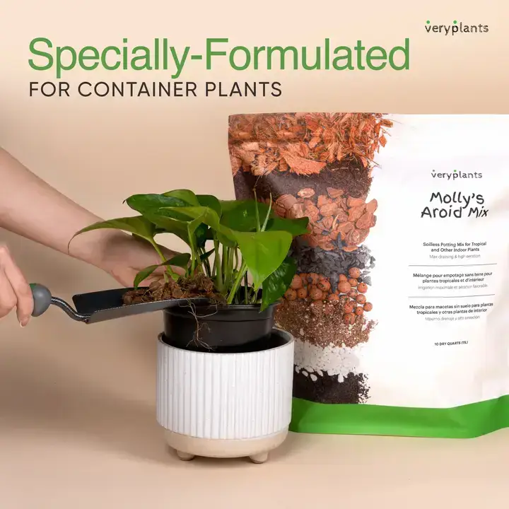 Veryplants Inc - Wholesale Planting/Potting Soil - Molly's Aroid Mix - Premium Soilless Potting Mix - 5 Quarts2