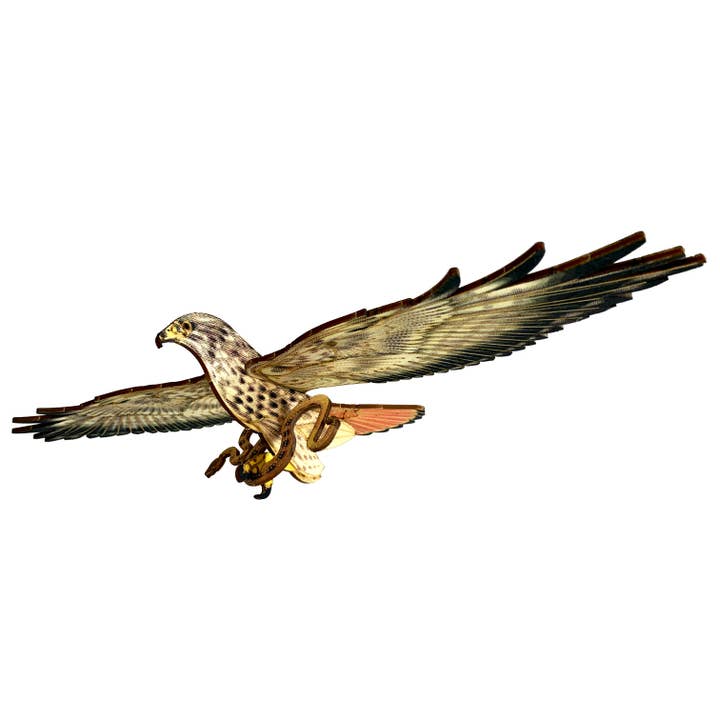JCR WORK - Vente Mobiles - OISEAUX : RED TAILED HAWK1