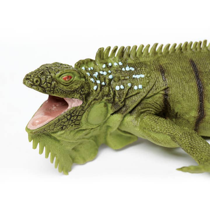 Safari Ltd. - Wholesale Figurine Toy - Kids - Iguana - 2677291