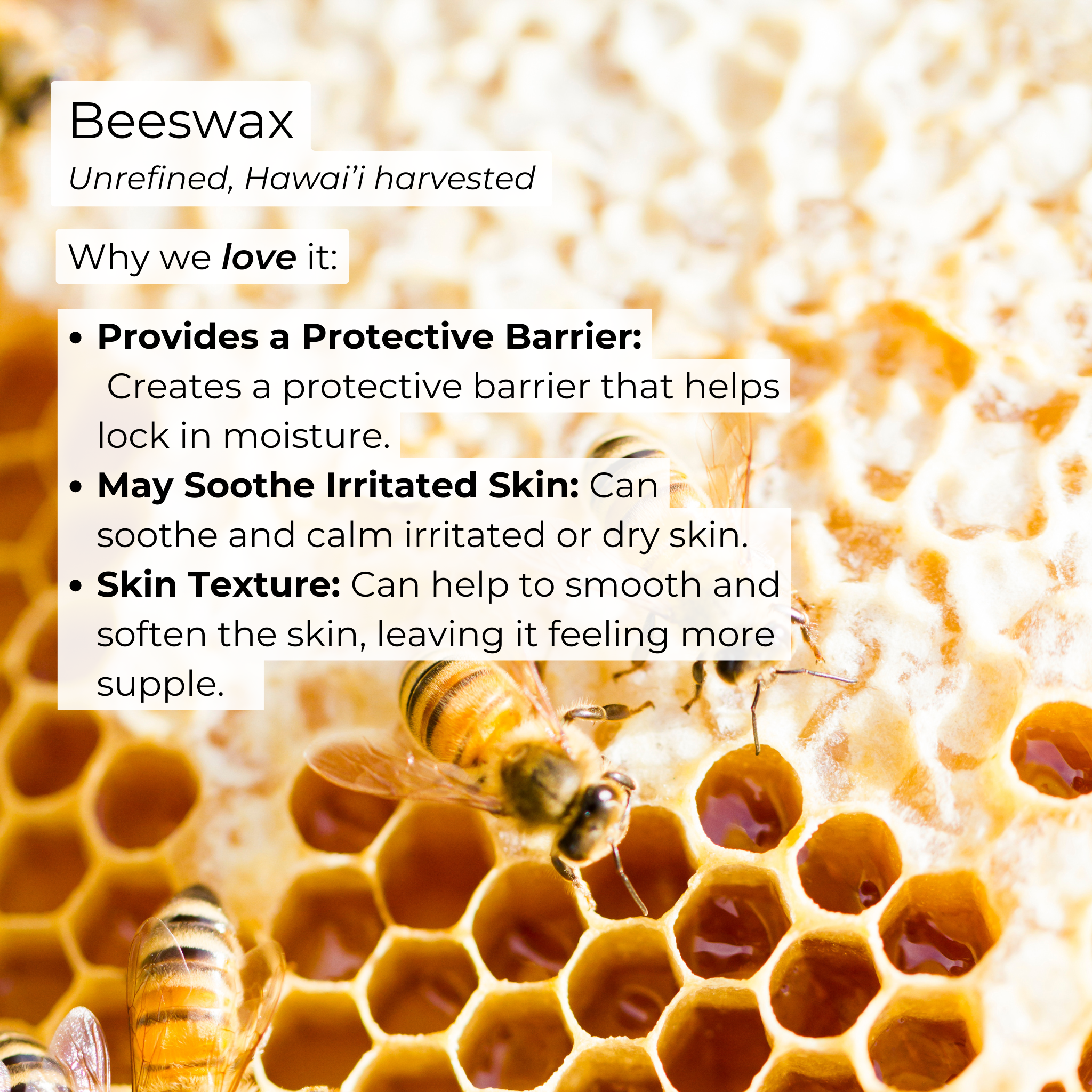 Kula Essentials - Wholesale Facial Serum/Concentrate - Midnight Magic Moisturizing Balm9