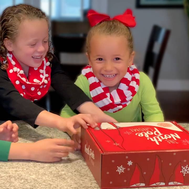 The North Pole Gnome - Wholesale Christmas decoration - The North Pole Gnome - Santa's New Helpers6