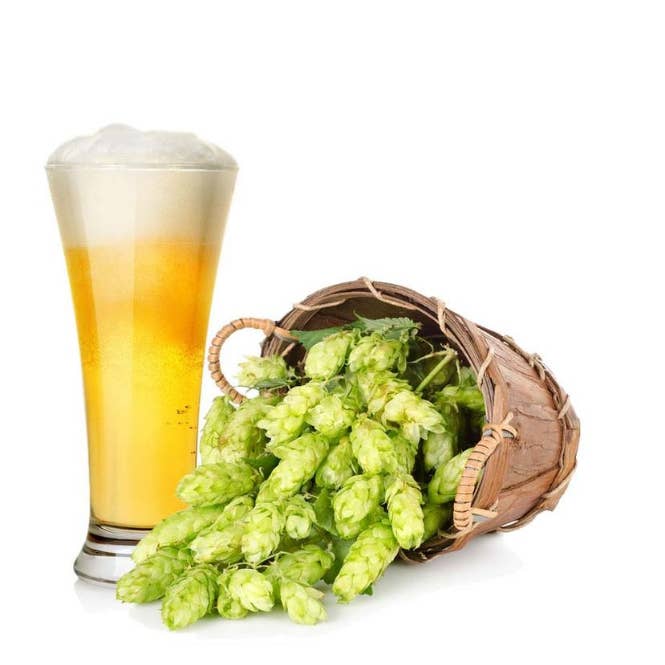 Sprigbox - Wholesale Plant Seeds - Brewer's Hop Grow Kit | Wooden Planter Box | Beer Lover Gift