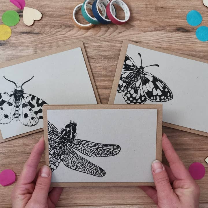 Jackdaw and Bear - Wholesale Stationery/Notecard Set - Insect notecards, a6 notelets6