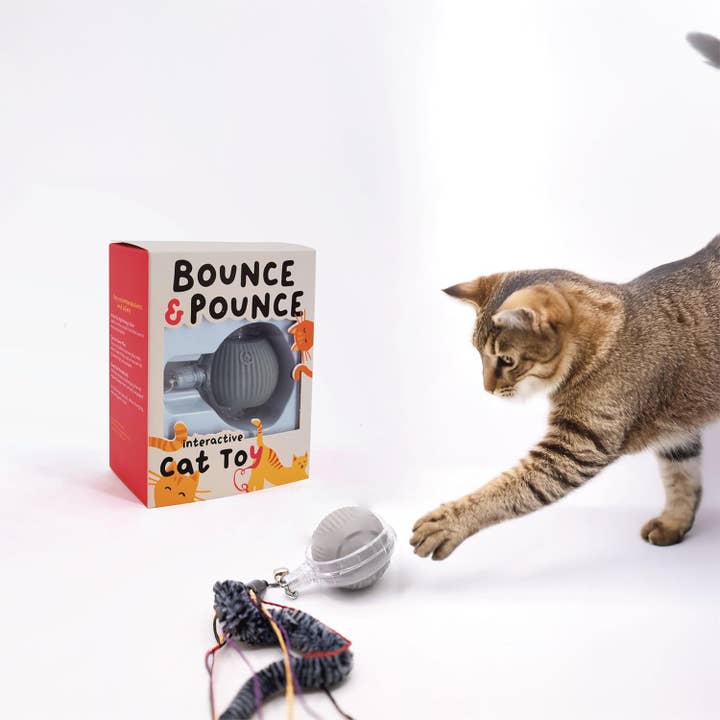 Bounce and Pounce Interactive Ball for wholesale by Paw Paw by Jeanne