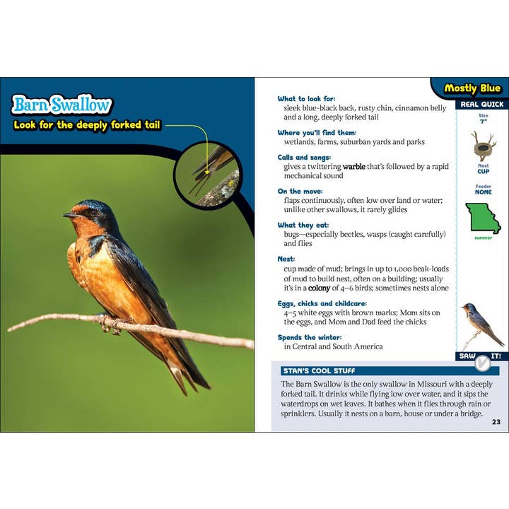 AdventureKEEN - Wholesale Book - Kids - Kids' Guide to Birds of Missouri