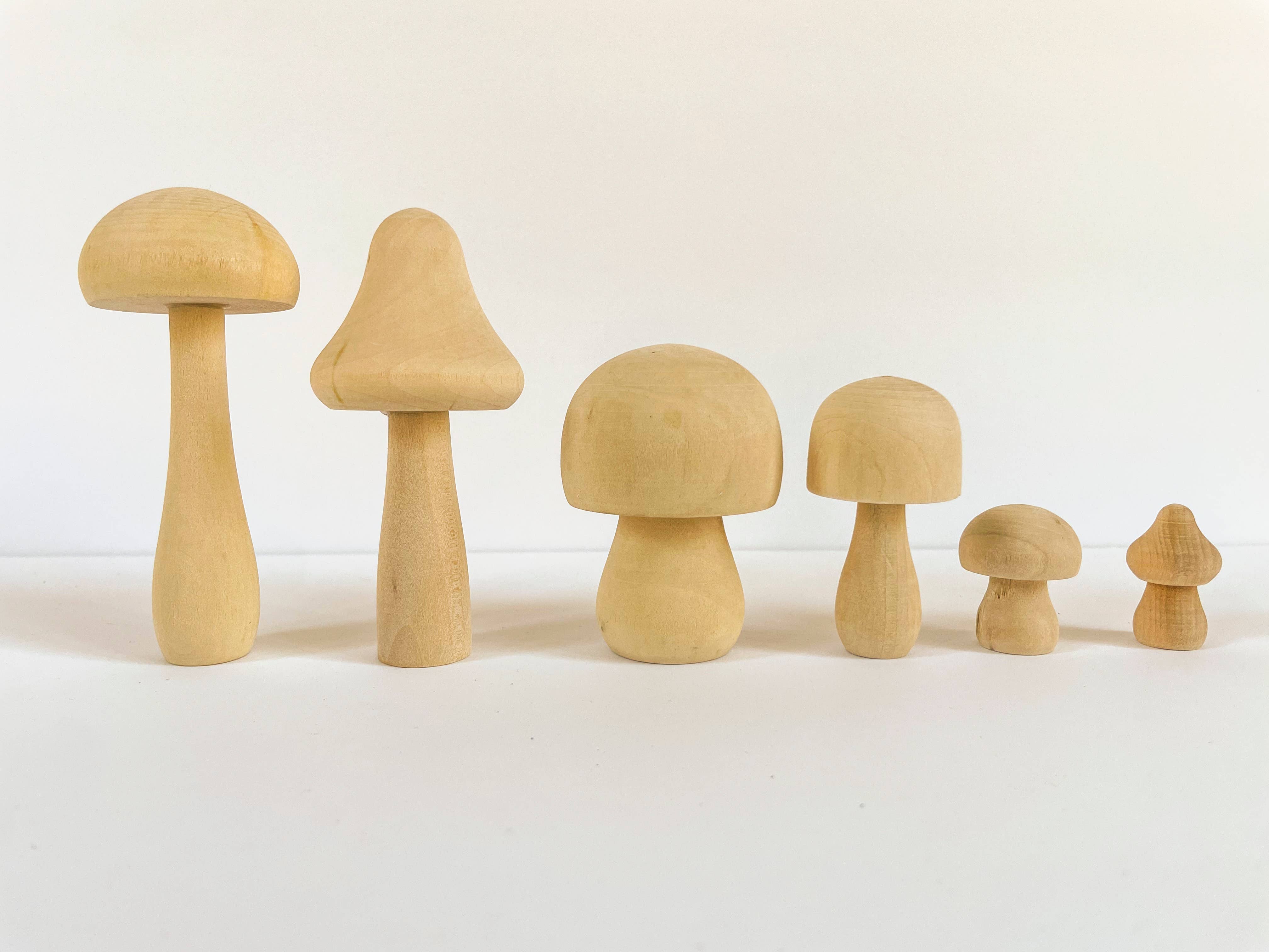 Bramble Workshop - Wholesale DIY Craft Kit - DIY Painted Mushroom Kit- earthy5