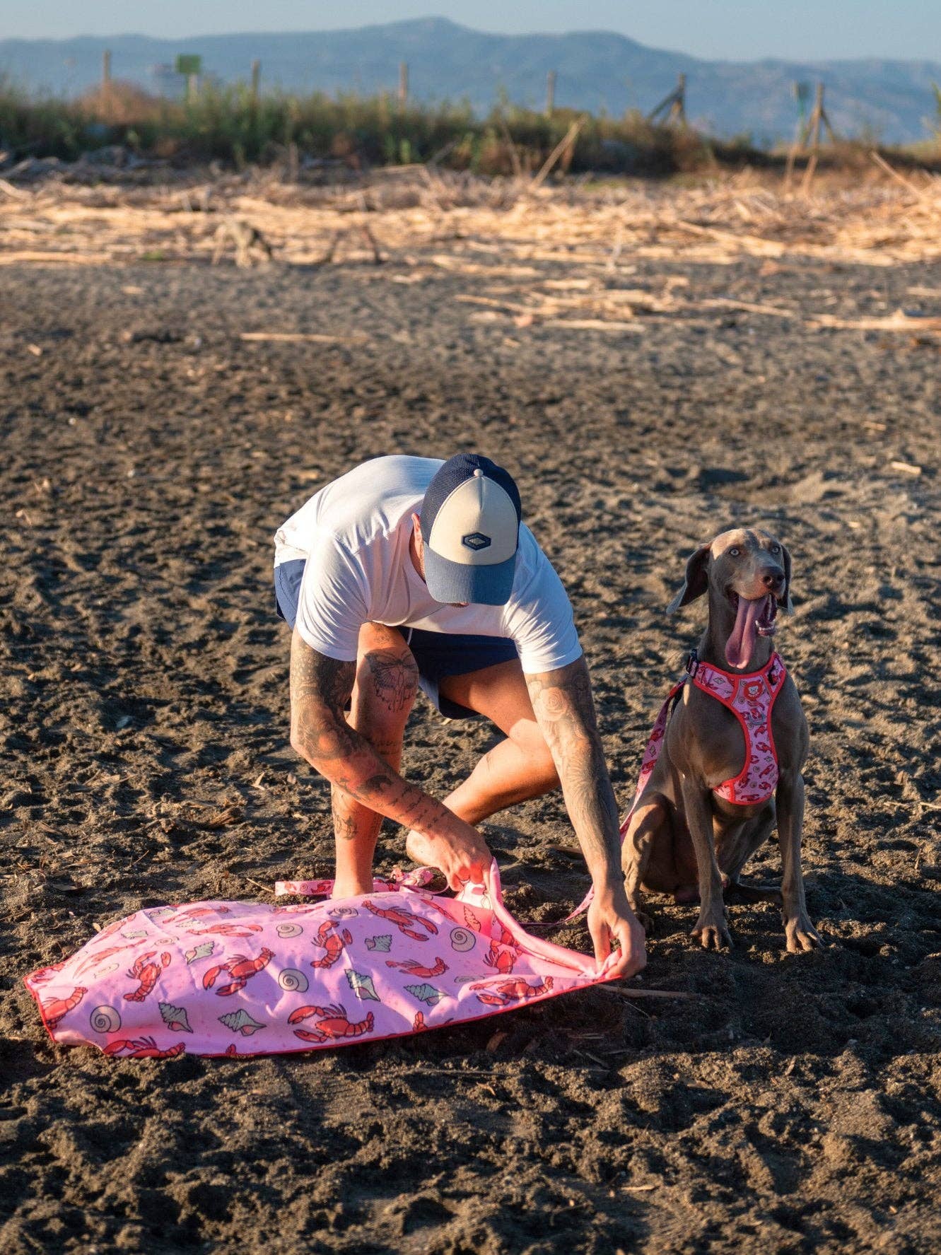 Dukier – toalha - Cão por atacado – TOALHA PARA CÃO LOBSTERS6