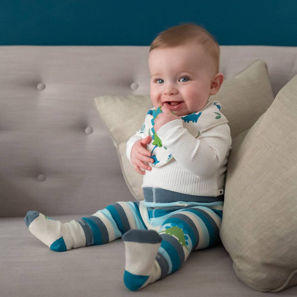 Ziggle Baby - Wholesale Clothing Set - Baby - Dino Leggings and Socks Set7