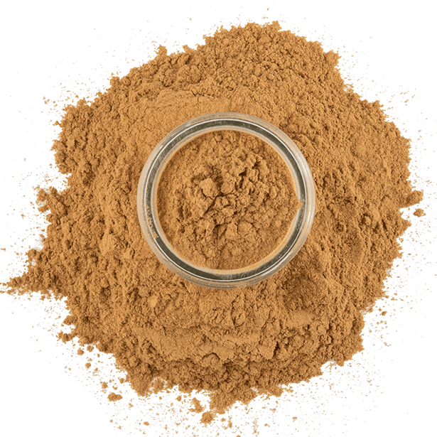 The Spice House - Wholesale Dried Spice - Cinnamon, Ceylon Ground2