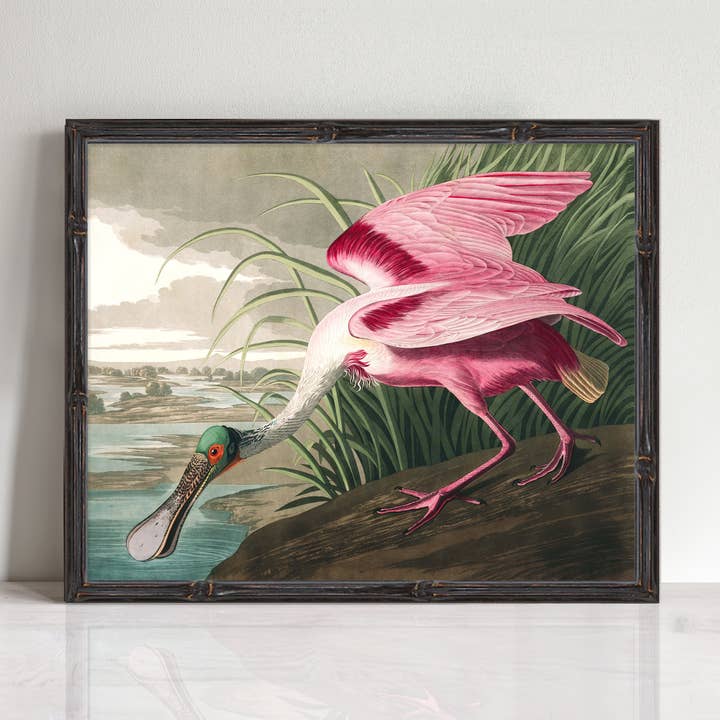 Motif vintage Spoonbill Bird pour la vente par Creative Monsoon