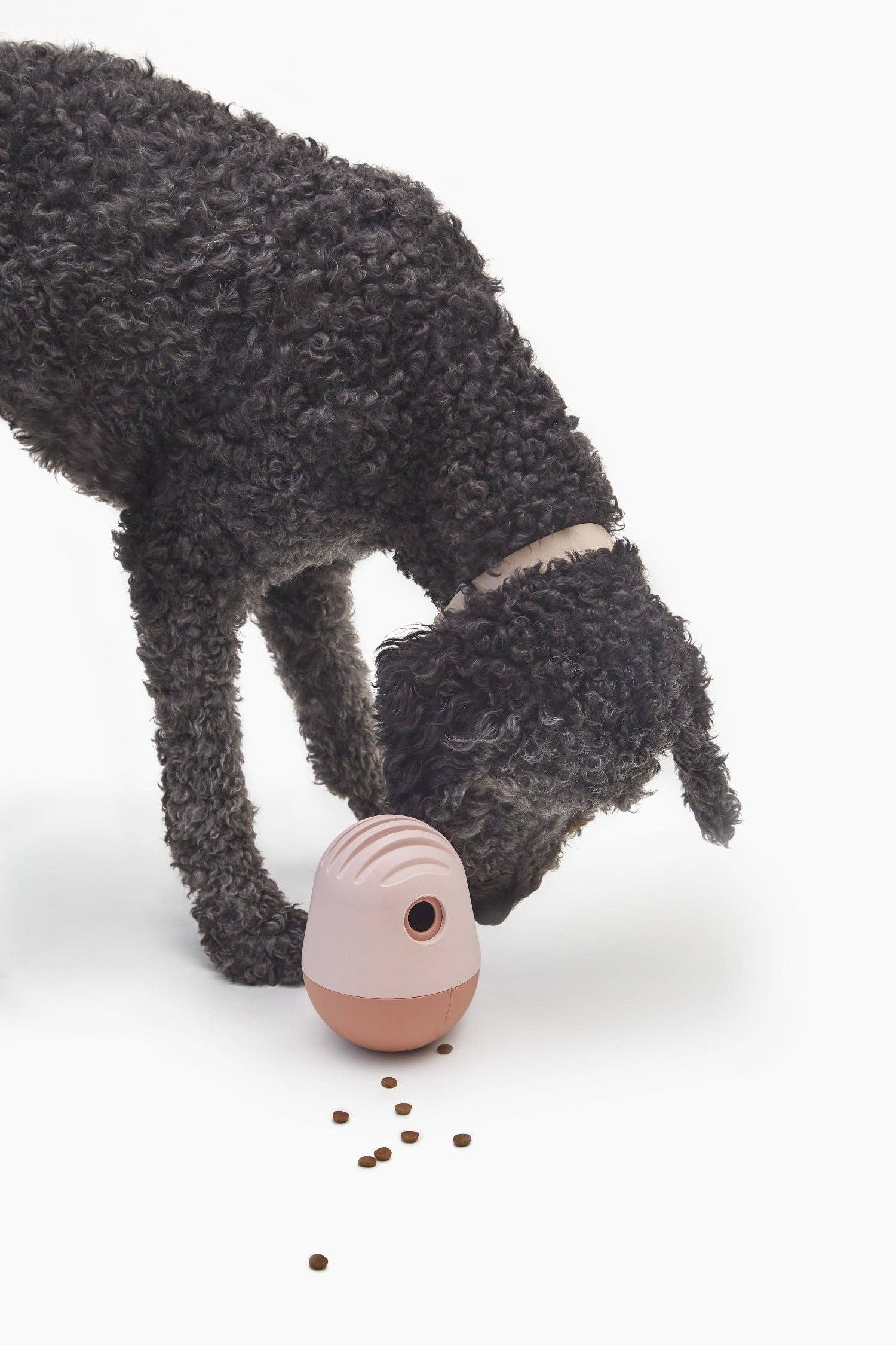 Fable Pets - Wholesale Pet Bowl - Cat/Dog - The Game™ Puzzle Feeder25