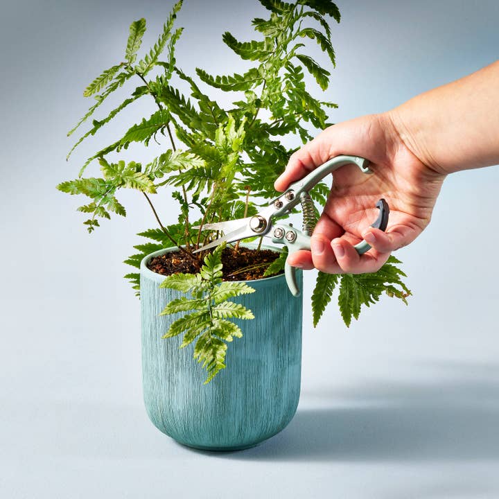 Modern Sprout - International – Großhandel Gartenwerkzeug – Gartenarbeit Scheren
