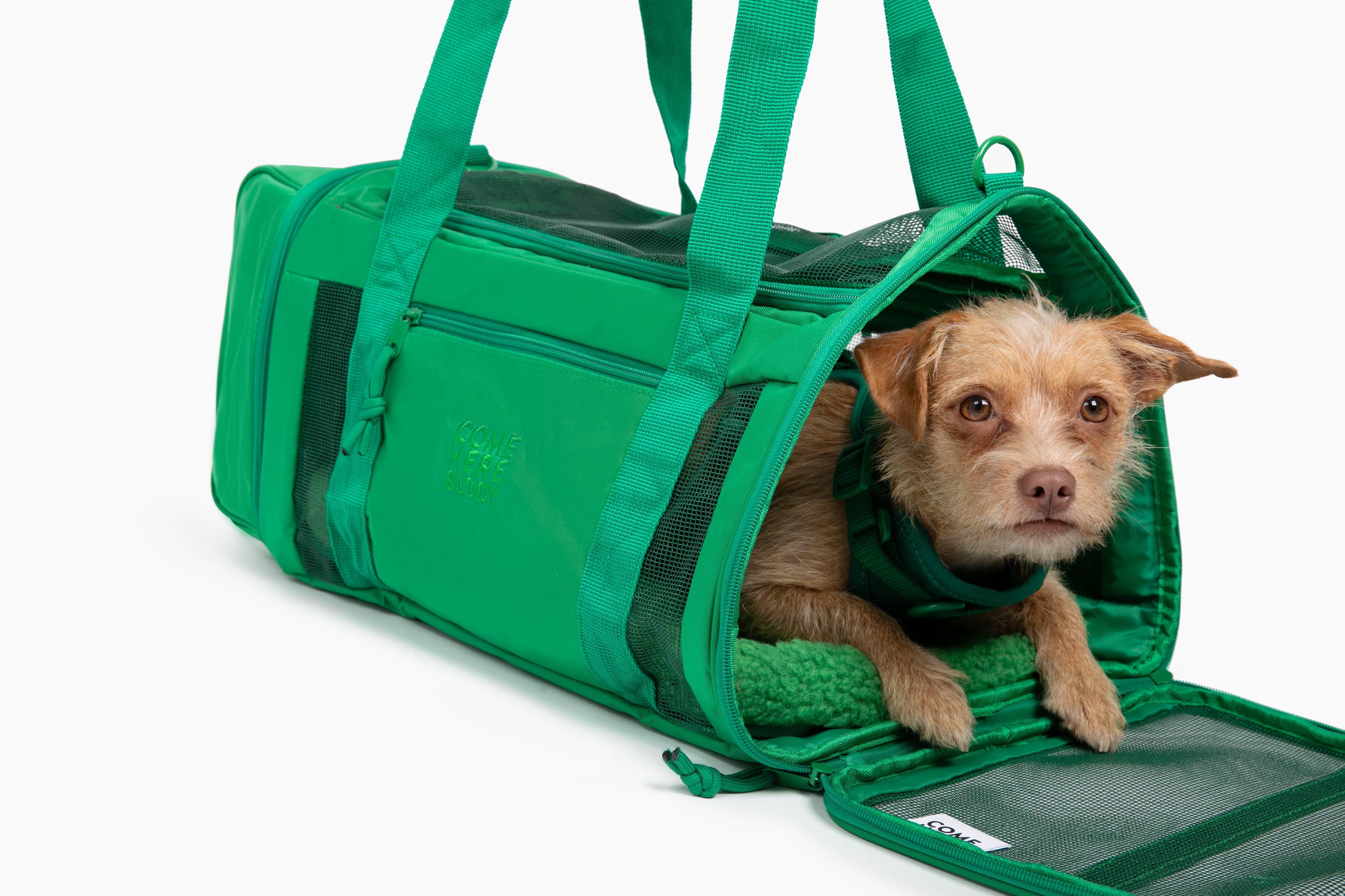 Come Here Buddy / Better Together Pet Supplies - Wholesale Pet Carrier - Dog - Travel Buddy  - Pet Carrier10