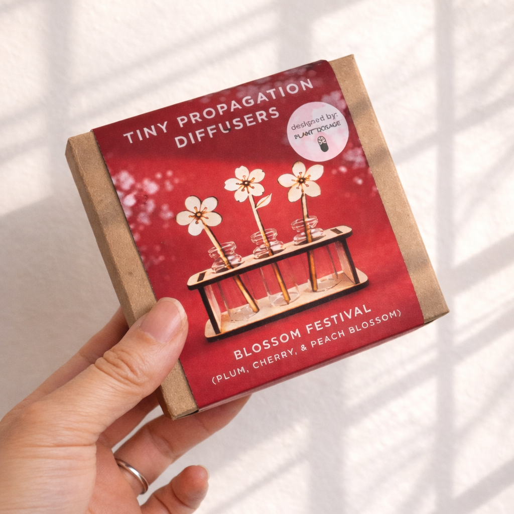 Dainty Little Tiny Things - Wholesale Reed Diffuser - Diffuser: Blossom Festival3